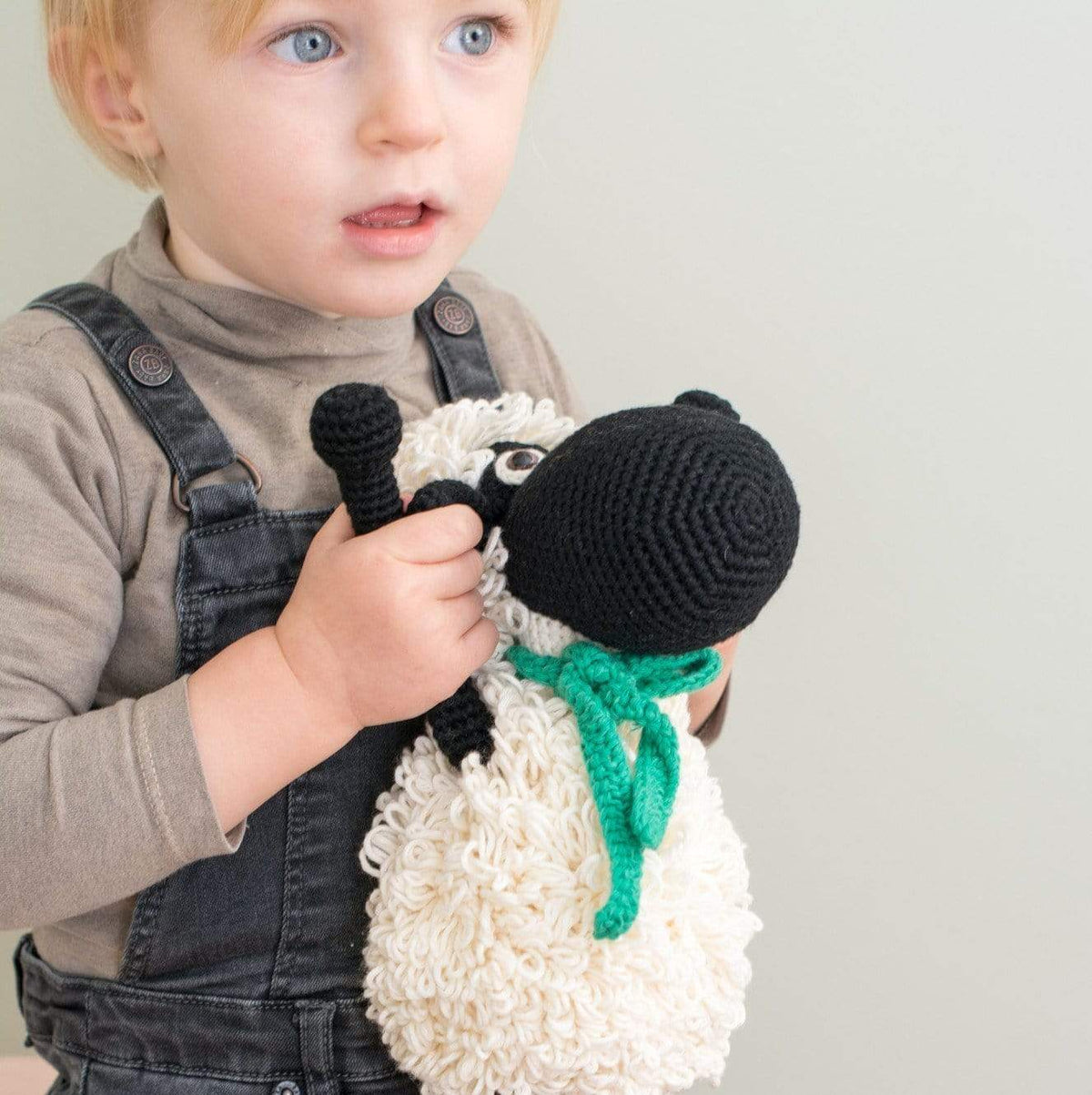 Shelly the sheep