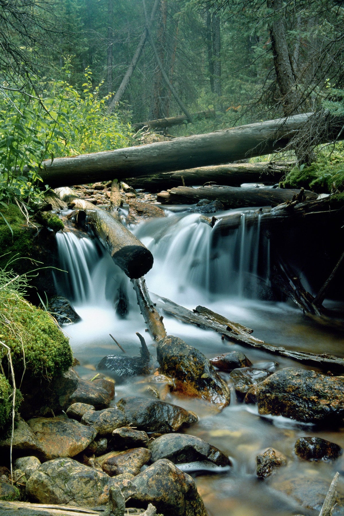 Capture My Colorado: Aspen - Additional Book View 7