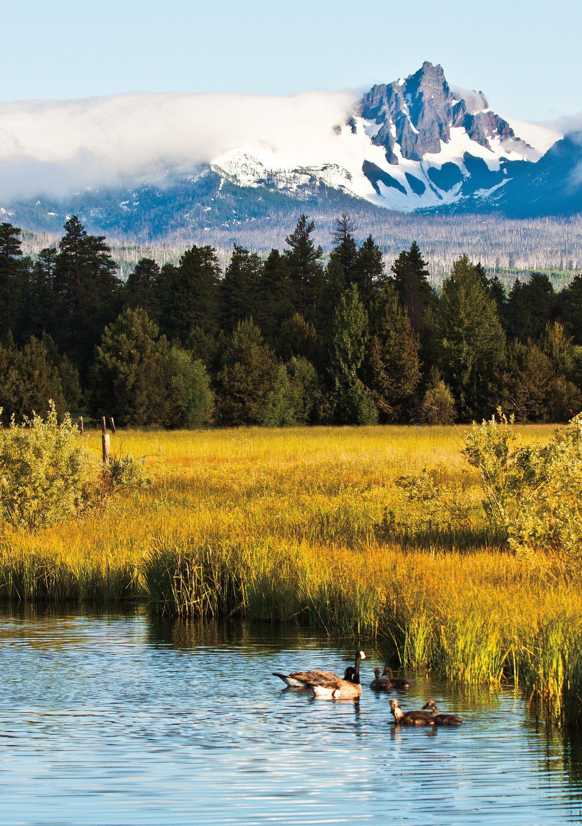 Capture Central Oregon - Additional Book View 5