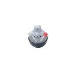 Lollipop-shaped Little Seal Toy With A Hand-painted Noseperfect As A Stress-relief Gadget - Cindi Book