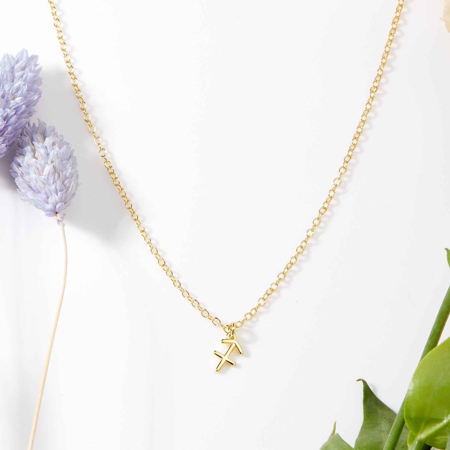 December 20th Sagittarius Necklace