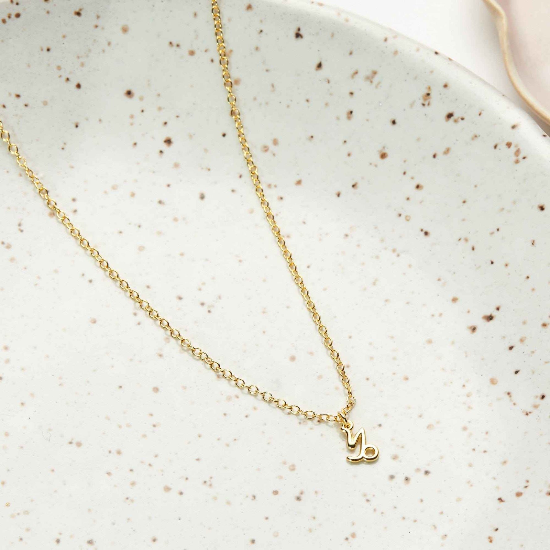 December 30th Capricorn Necklace