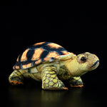 Simulated Land Turtle Doll Cute Turtle Doll Plush Toy - Cindi Book