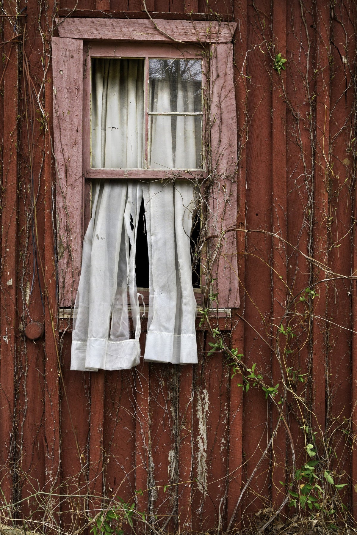 Capture Arkansas IV: The best of Arkansas in Photography - Additional Book View 6