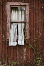Capture Arkansas IV: The best of Arkansas in Photography - Additional Book View 6
