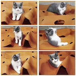 Cat Playing Mat Training Pet Activity Play Mats Collapsible Pets Rug Scratch Resistant Toys Bite Pad Dropshipping - Cindi Book