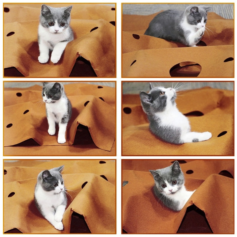 Cat Playing Mat Training Pet Activity Play Mats Collapsible Pets Rug Scratch Resistant Toys Bite Pad Dropshipping - Cindi Book