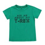 Letter Mask Boy Masked Funny Cartoon Dinosaur Cotton T-shirt - Cindi Book