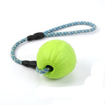 Dog Ball Toy  Bite Resistance Puzzle Training - Cindi Book