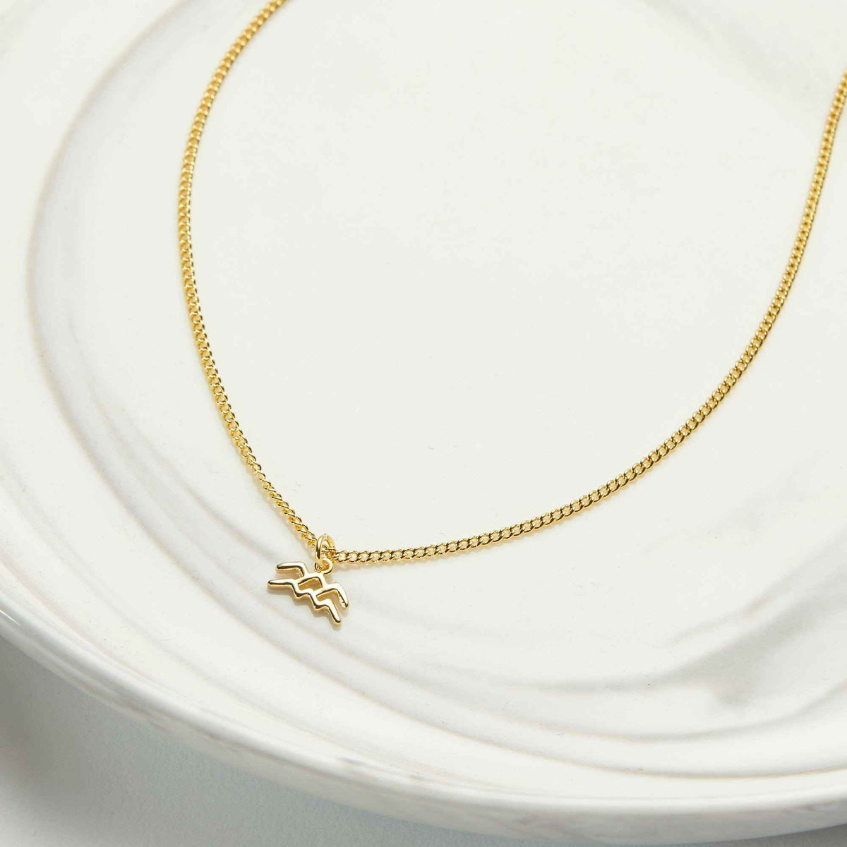 February 5th Aquarius Necklace