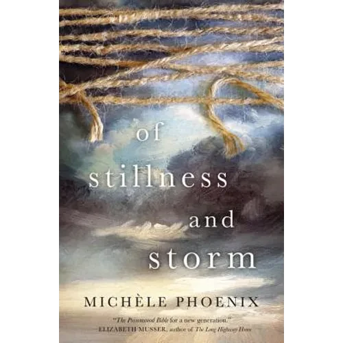 Of Stillness and Storm - Paperback