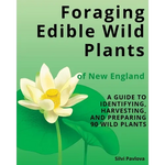 Foraging Edible Wild Plants of New England: A Guide to Identifying, Harvesting, and Preparing 90 Wild Plants - Paperback