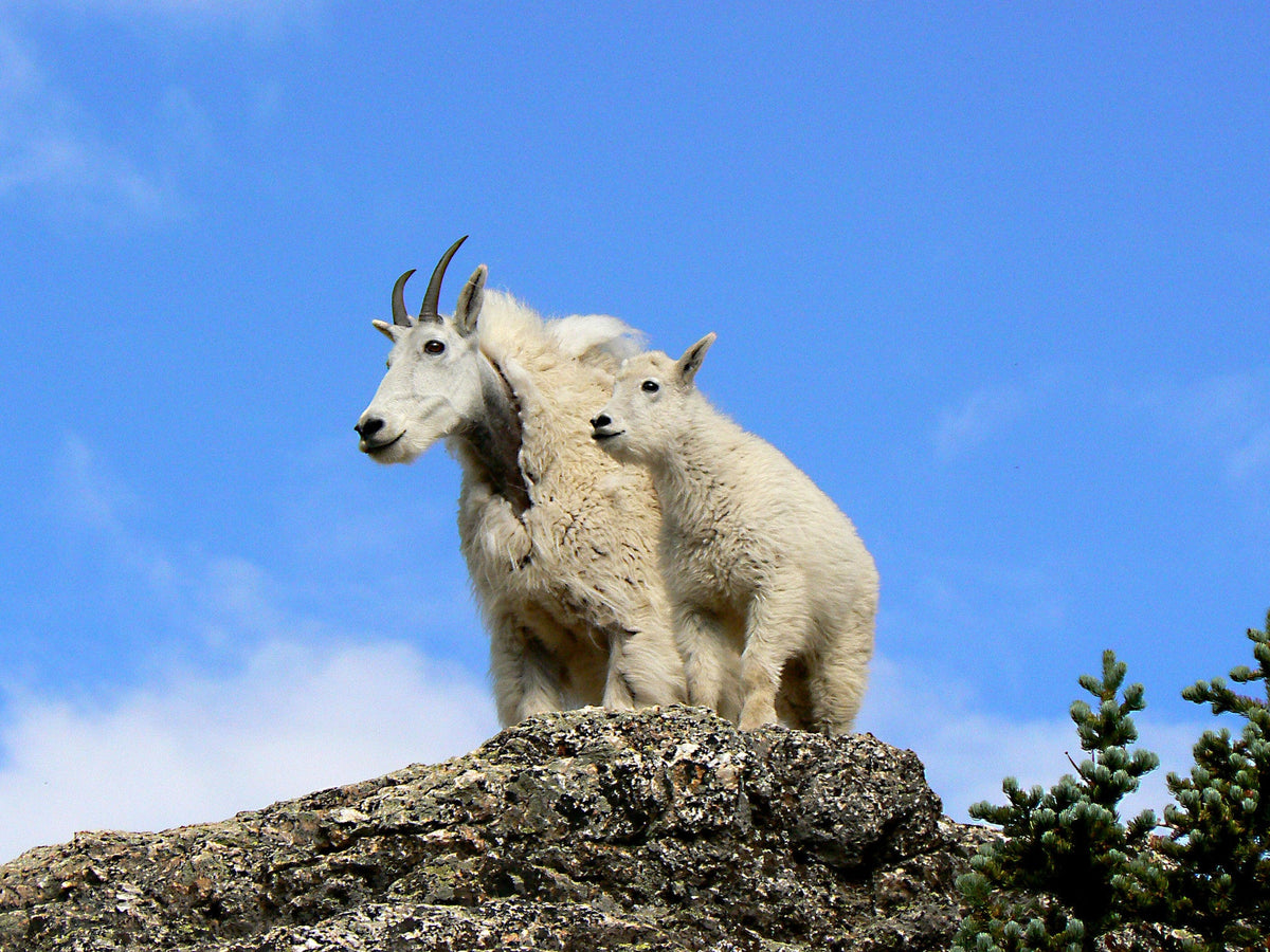 Capture My Colorado: Vail - Additional Book View 9