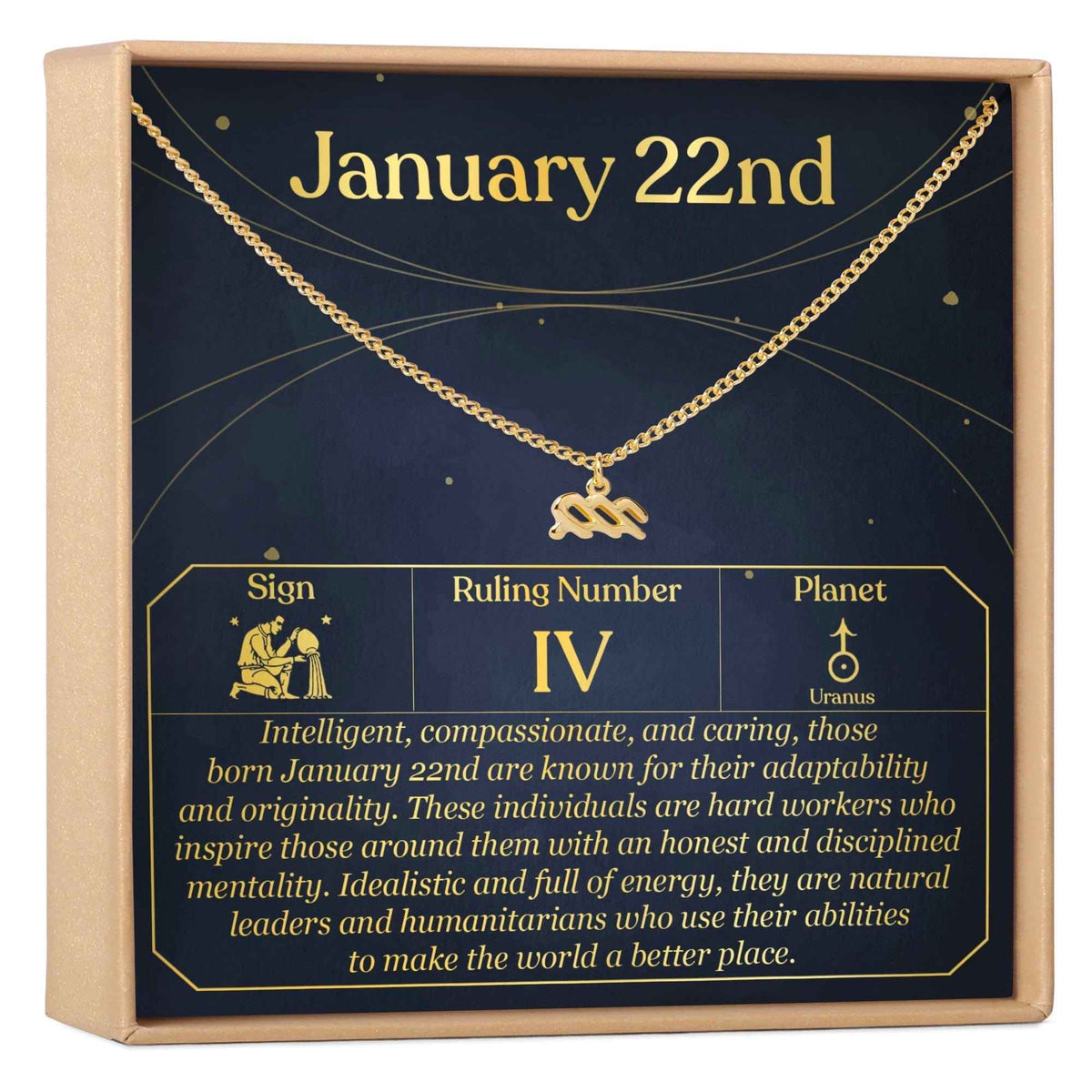 January 22nd Aquarius Necklace