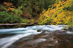 Capture Central Oregon - Additional Book View 12