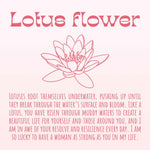 Lotus Spa Gift Box Set