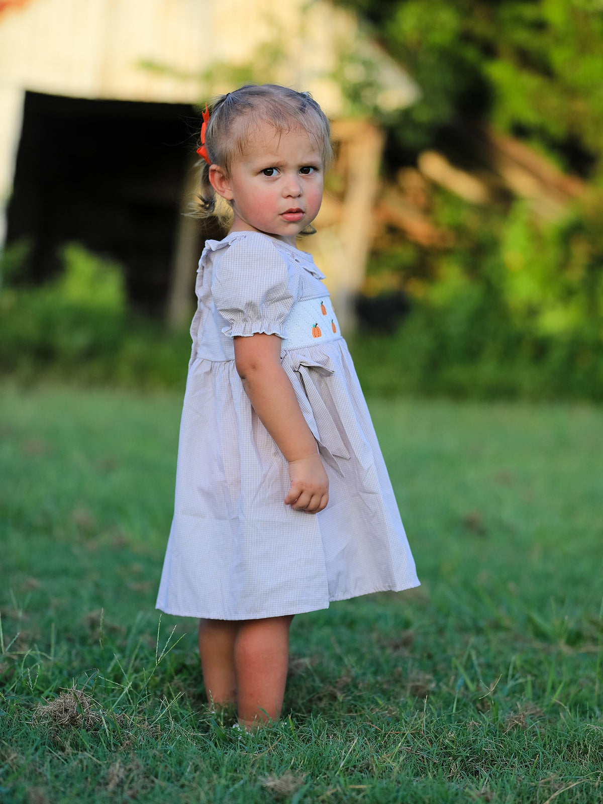 Rylee Faith Designs - Fall Thanksgiving Pumpkin Embroidery Smock Plaid Girls Dress - alternate view 10