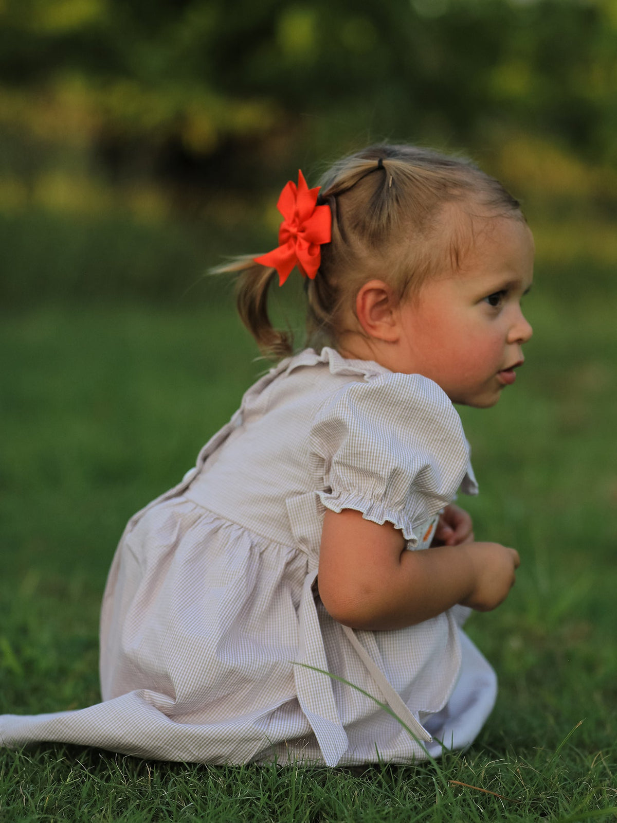 Rylee Faith Designs - Fall Thanksgiving Pumpkin Embroidery Smock Plaid Girls Dress - alternate view 9