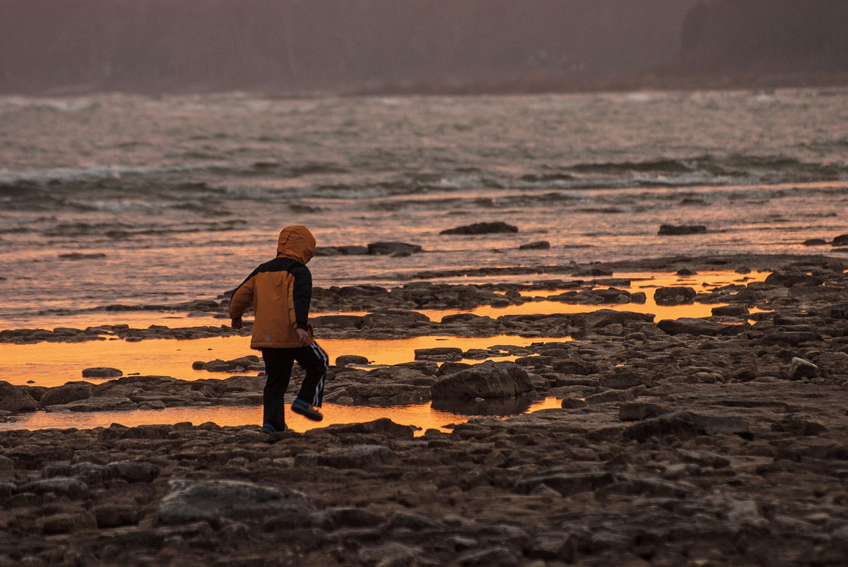 Capture Door County: The Best of Door County in Photography - Additional Book View 9