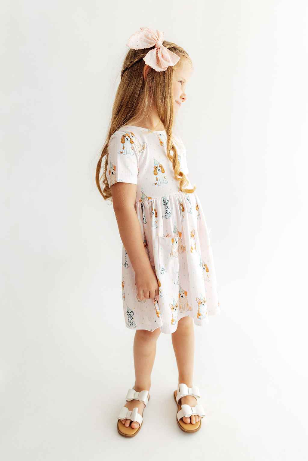Party Pups S/S Pocket Twirl Dress