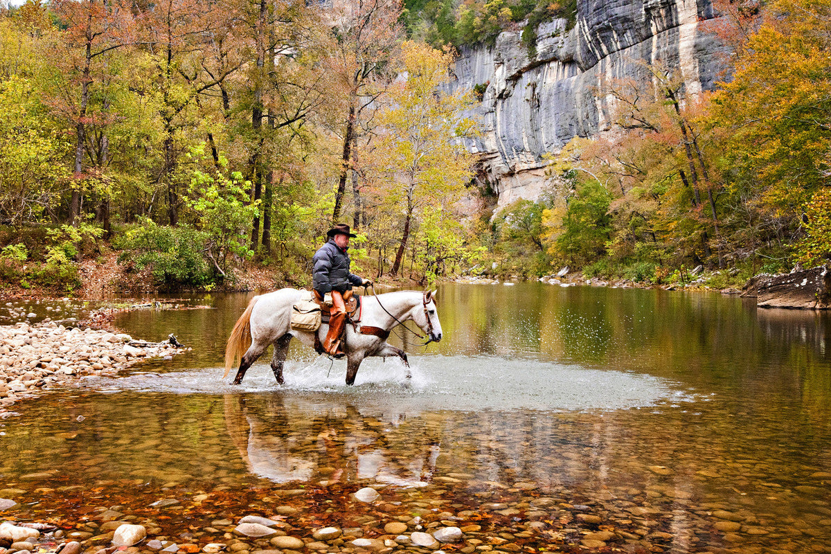 Capture Arkansas III: The Best of Arkansas in Photography - Additional Book View 7