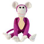 Momo the monkey