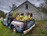 Capture Door County: Seasons Behind the Door: A Photographic Look at Door Countys Seasons - Additional Book View 8