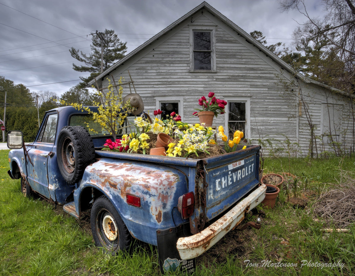 Capture Door County: Seasons Behind the Door: A Photographic Look at Door Countys Seasons - Additional Book View 8
