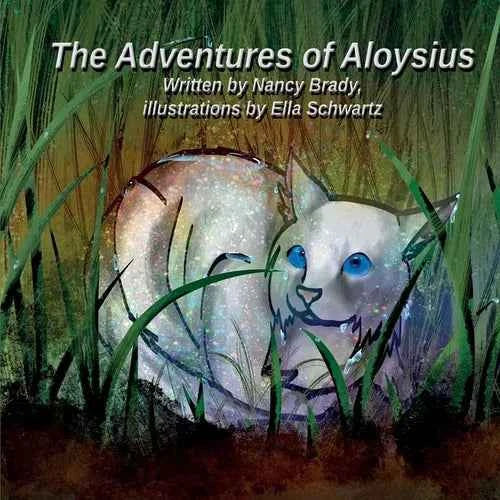 The Adventures of Aloysius - Paperback