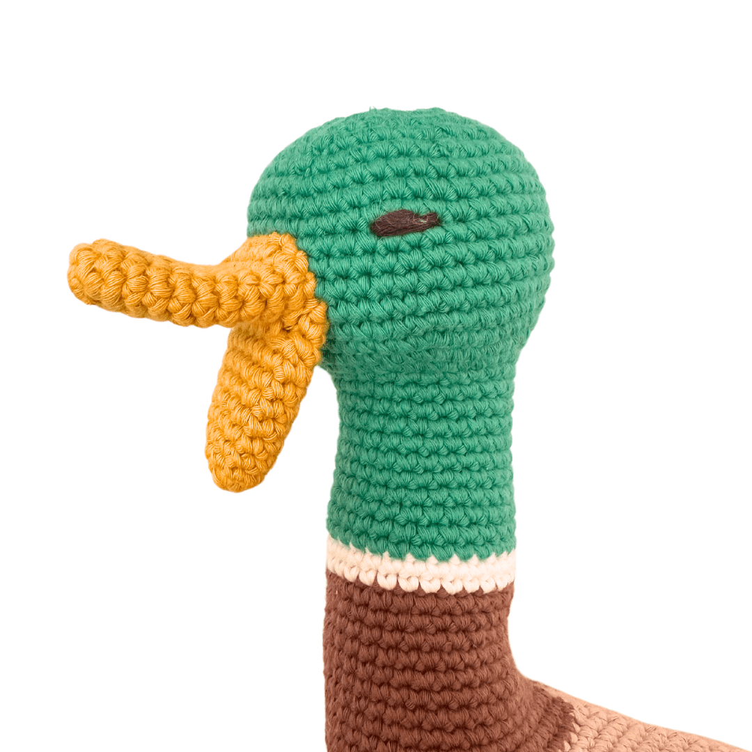 Ollie the Duck