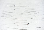 Reflections of: Presque Isle: A Visual Journey - Additional Book View 9