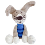 Peter the rabbit