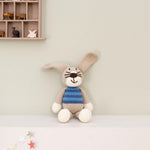 Peter the rabbit
