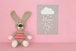 Petra the rabbit