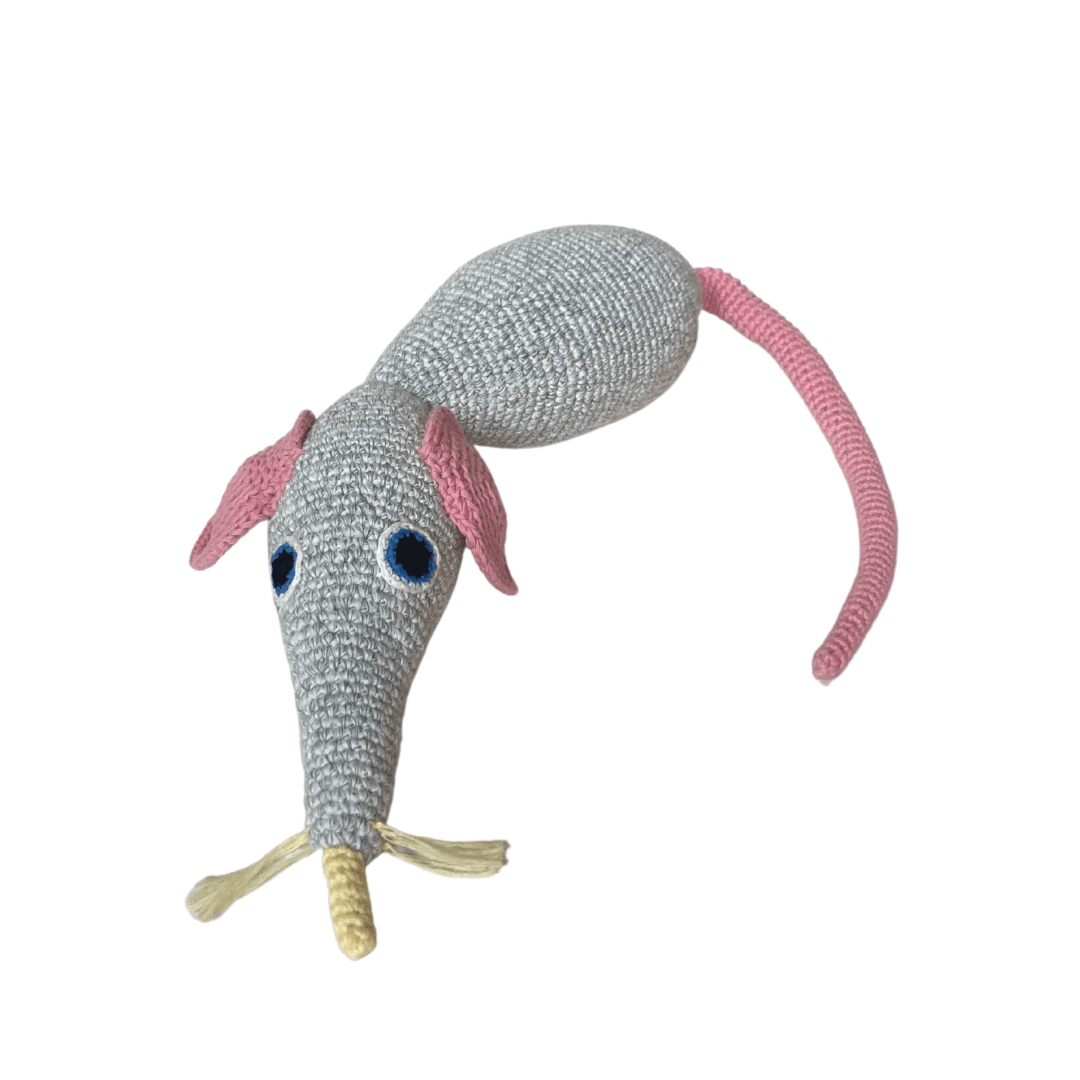 Squeaky the Mouse