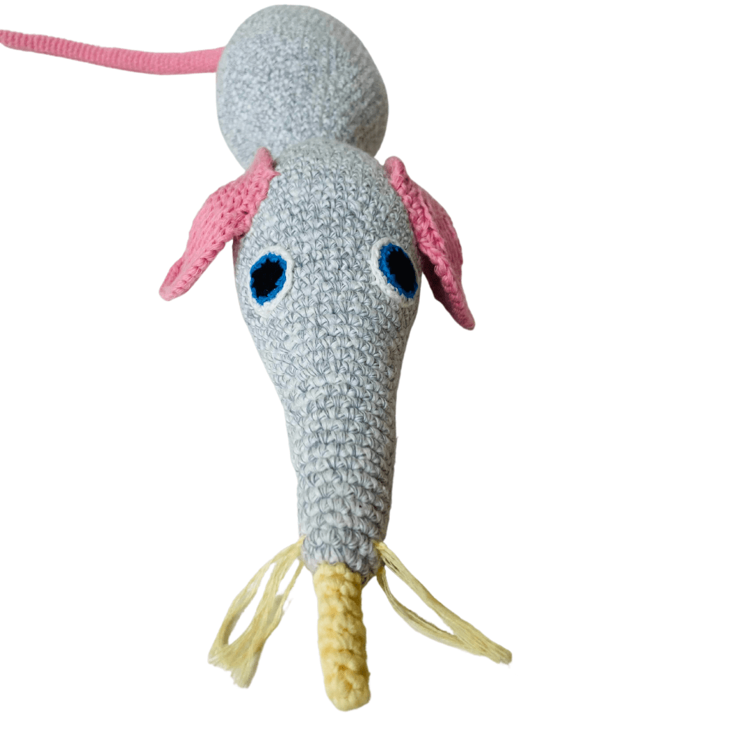 Squeaky the Mouse