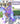 Model U Ride-On Unicorn Age 4-7 Purple