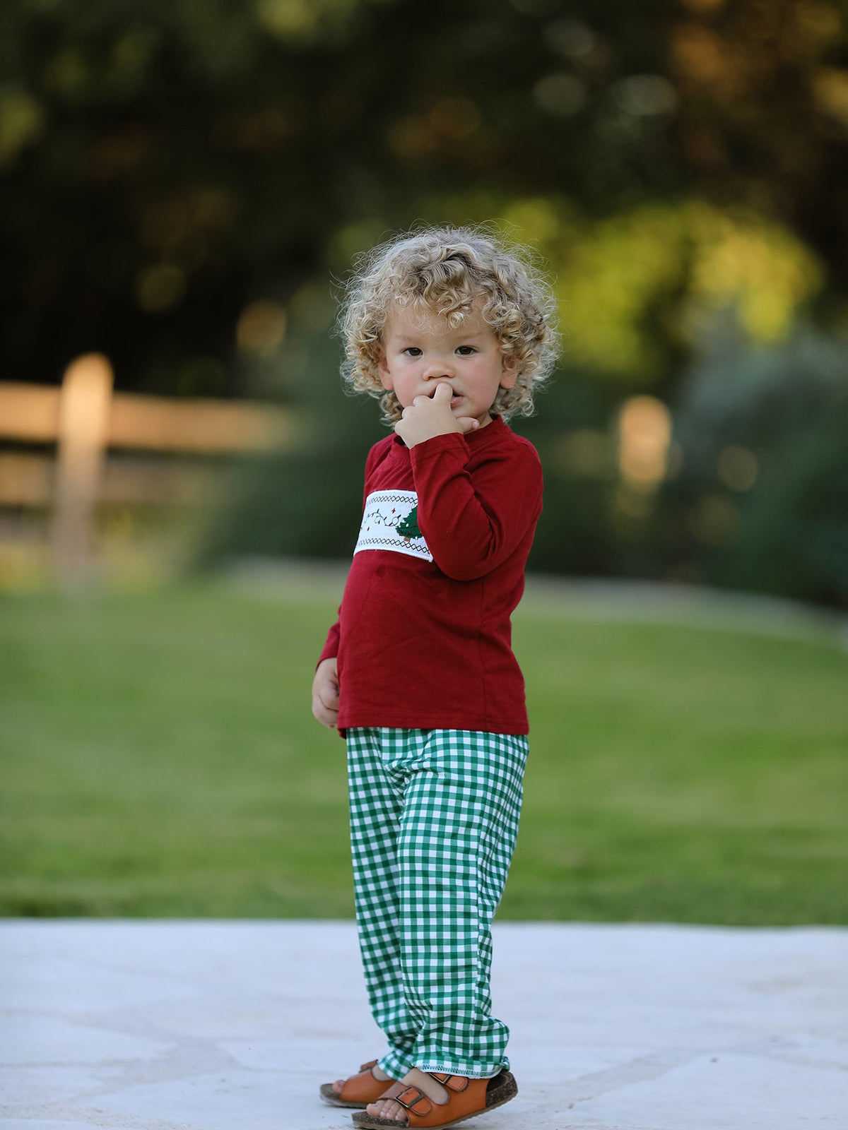 Rylee Faith Designs - Christmas Tree Dog Smocking Embroidered Plaid Boys Set - alternate view 6