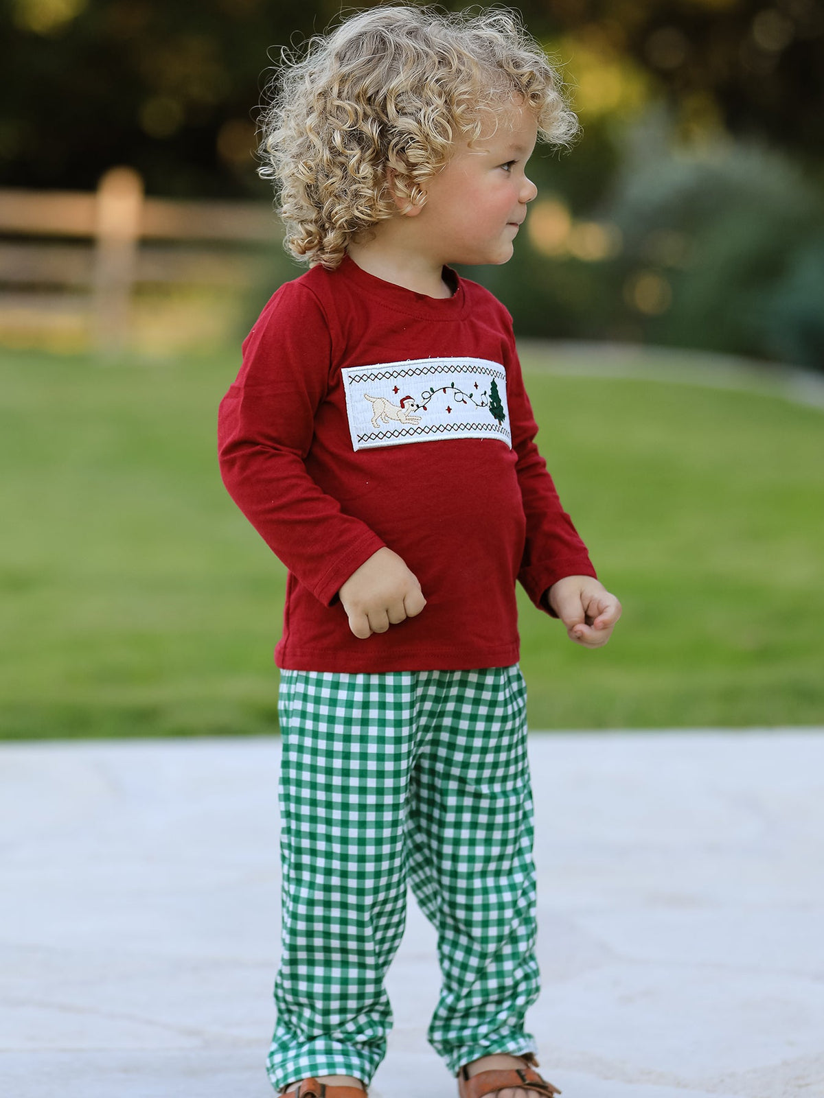 Rylee Faith Designs - Christmas Tree Dog Smocking Embroidered Plaid Boys Set - alternate view 2