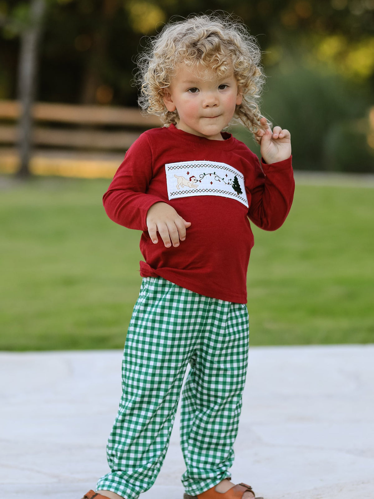 Rylee Faith Designs - Christmas Tree Dog Smocking Embroidered Plaid Boys Set