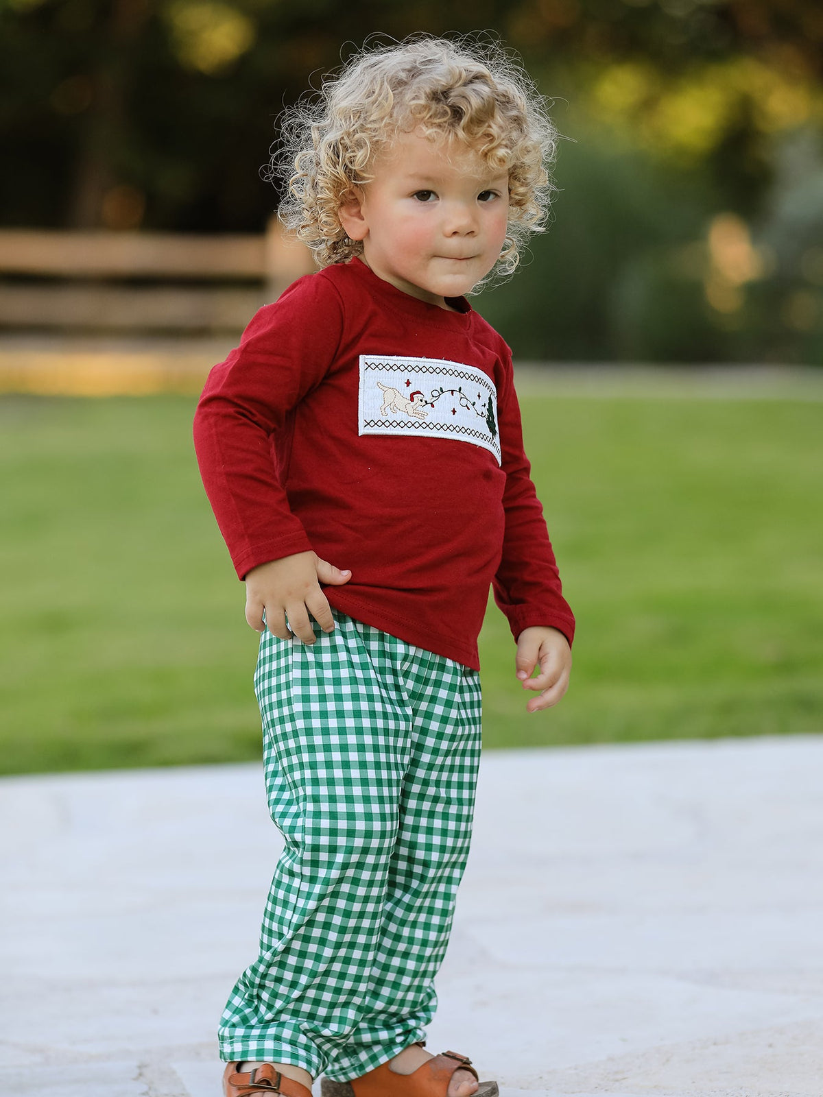 Rylee Faith Designs - Christmas Tree Dog Smocking Embroidered Plaid Boys Set - alternate view 4