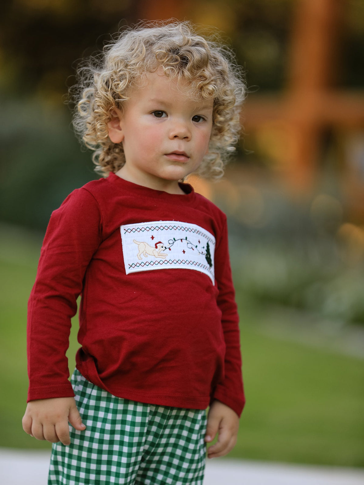 Rylee Faith Designs - Christmas Tree Dog Smocking Embroidered Plaid Boys Set - alternate view 3