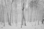 Capture Door County: Seasons Behind the Door: A Photographic Look at Door Countys Seasons - Additional Book View 9