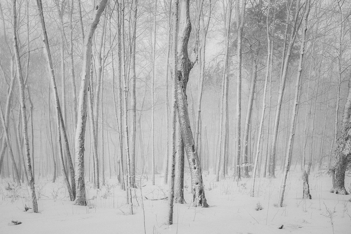 Capture Door County: Seasons Behind the Door: A Photographic Look at Door Countys Seasons - Additional Book View 9