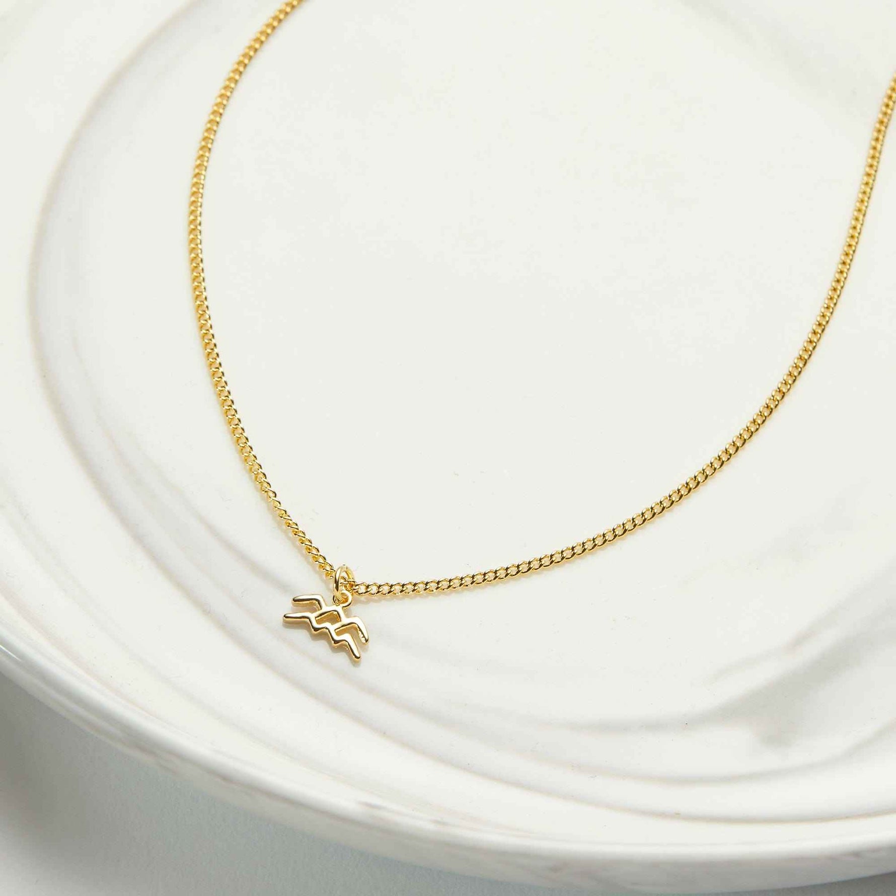 Starry Night Aquarius Zodiac Necklace