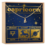 Starry Night Capricorn Zodiac Necklace