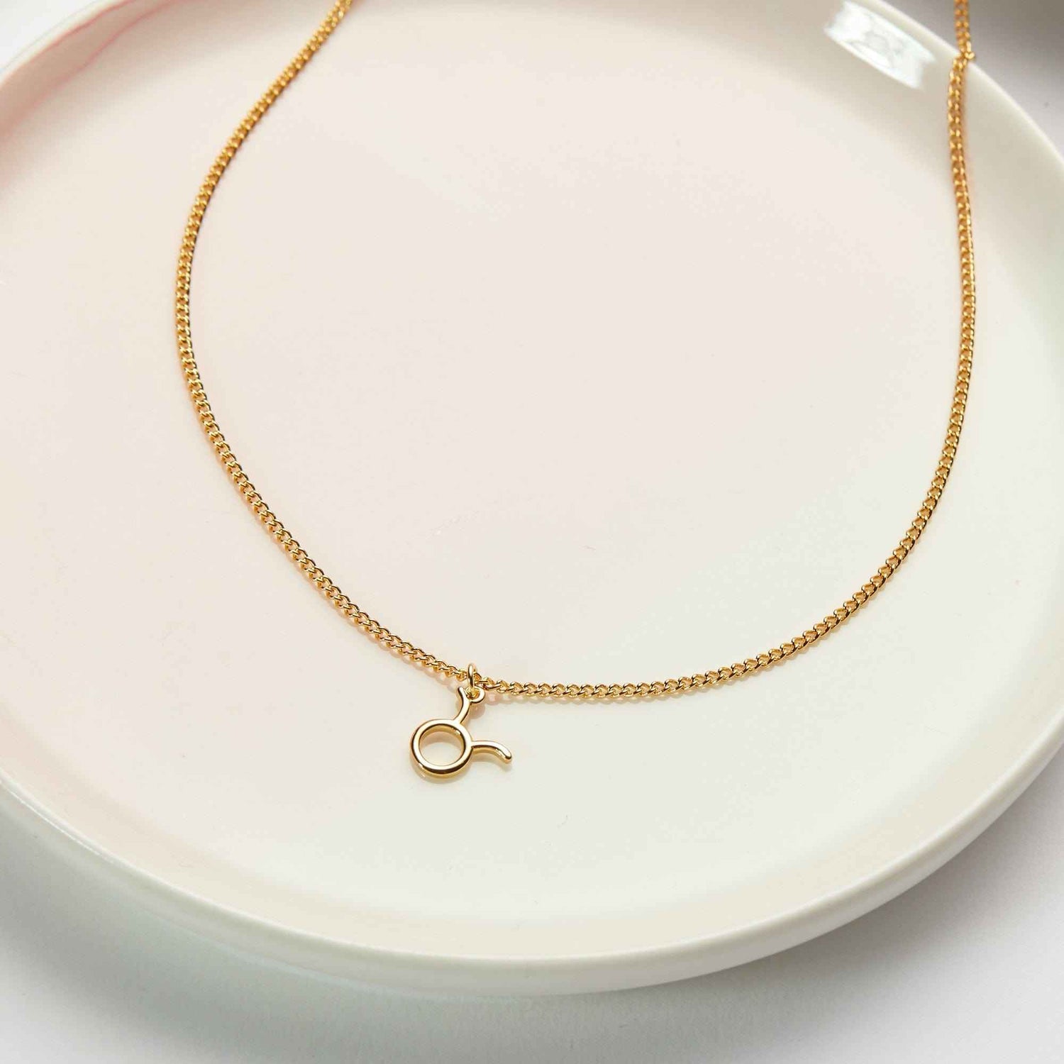 Starry Night Taurus Zodiac Necklace