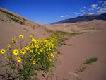 Capture My Colorado: Vail - Additional Book View 10