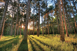 Capture Minnesota II: Minnesota Through the Eyes of Minnesota Photographers - Additional Book View 7