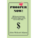 Pro$per Now! - Paperback